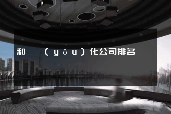 和縣優(yōu)化公司排名
