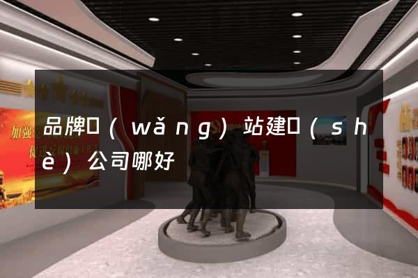 品牌網(wǎng)站建設(shè)公司哪好