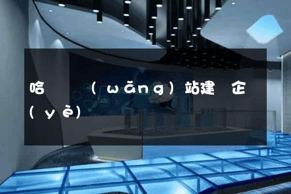 哈爾濱網(wǎng)站建設企業(yè)