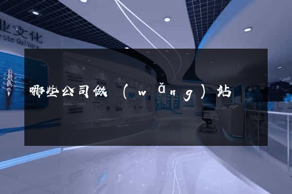 哪些公司做網(wǎng)站