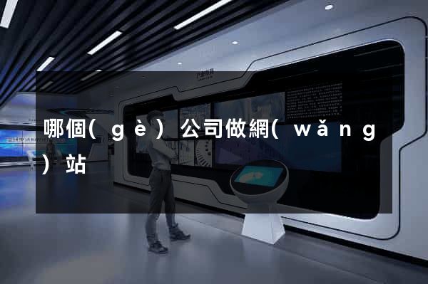 哪個(gè)公司做網(wǎng)站