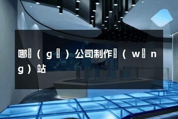 哪個(gè)公司制作網(wǎng)站