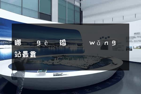 哪個(gè)婚戀網(wǎng)站最靠譜