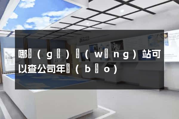 哪個(gè)網(wǎng)站可以查公司年報(bào)