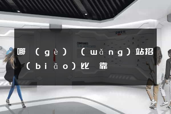 哪個(gè)網(wǎng)站招標(biāo)比較靠譜