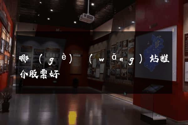 哪個(gè)網(wǎng)站推介股票好