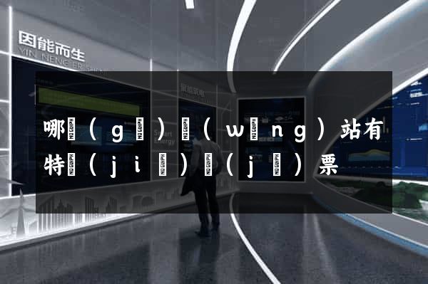 哪個(gè)網(wǎng)站有特價(jià)機(jī)票
