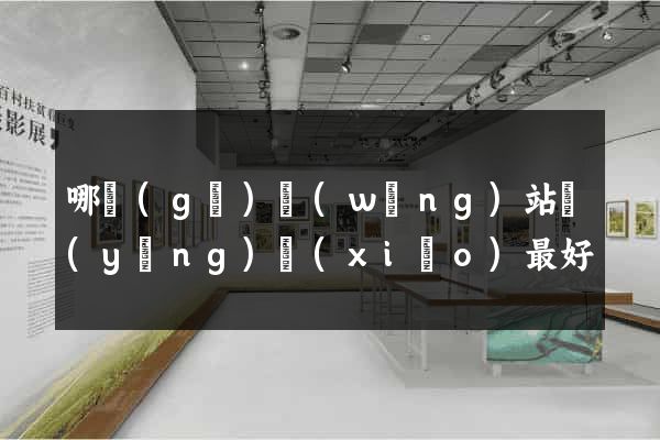 哪個(gè)網(wǎng)站營(yíng)銷(xiāo)最好