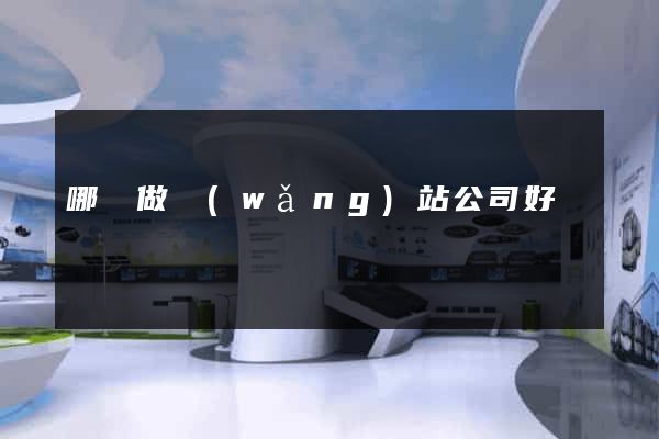 哪個做網(wǎng)站公司好