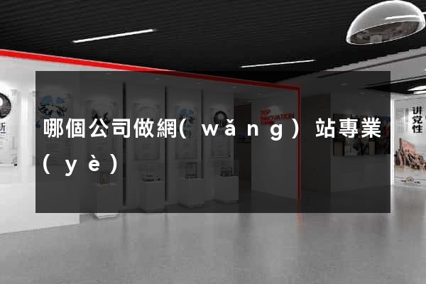 哪個公司做網(wǎng)站專業(yè)