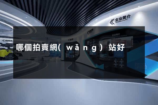 哪個拍賣網(wǎng)站好