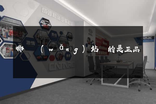 哪個網(wǎng)站賣的是正品貨