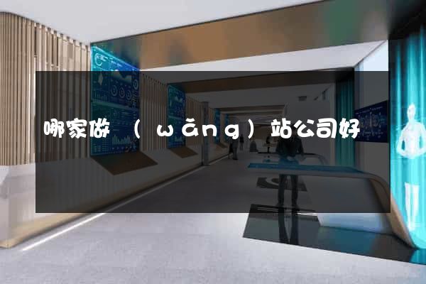哪家做網(wǎng)站公司好