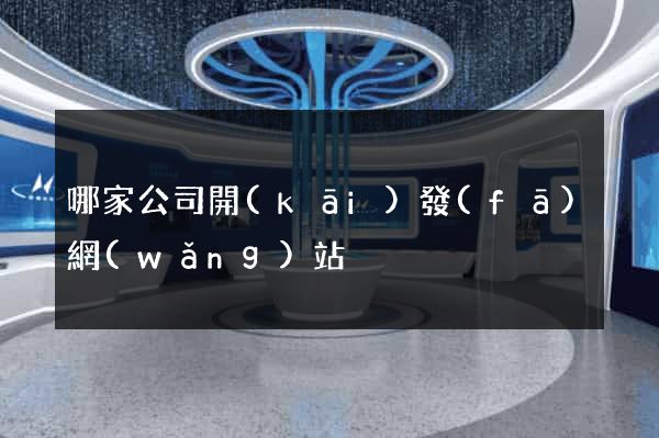 哪家公司開(kāi)發(fā)網(wǎng)站