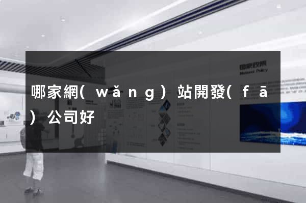 哪家網(wǎng)站開發(fā)公司好