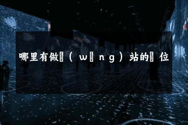 哪里有做網(wǎng)站的單位