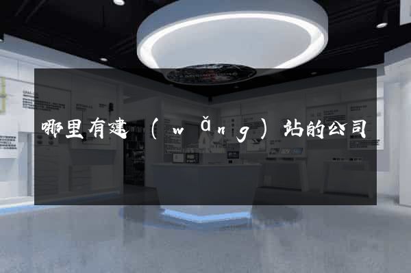 哪里有建網(wǎng)站的公司