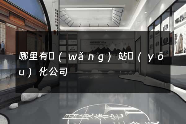 哪里有網(wǎng)站優(yōu)化公司