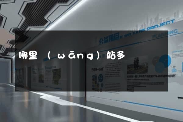 哪里網(wǎng)站多