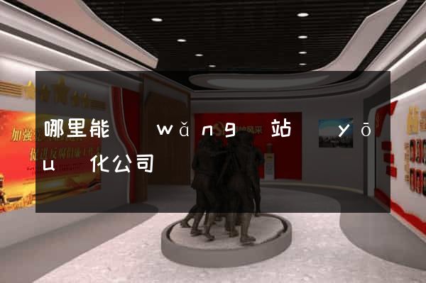 哪里能網(wǎng)站優(yōu)化公司