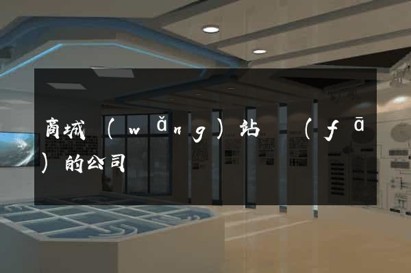 商城網(wǎng)站開發(fā)的公司