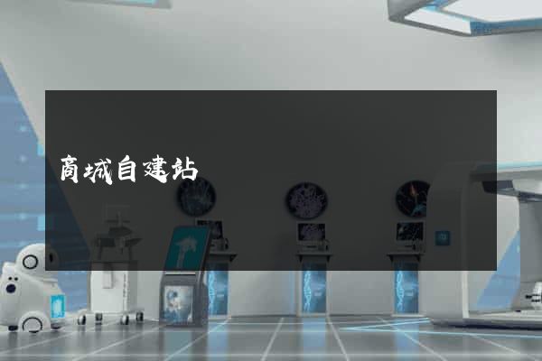 商城自建站