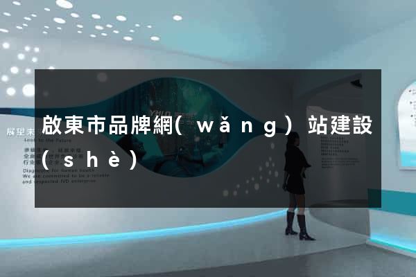 啟東市品牌網(wǎng)站建設(shè)