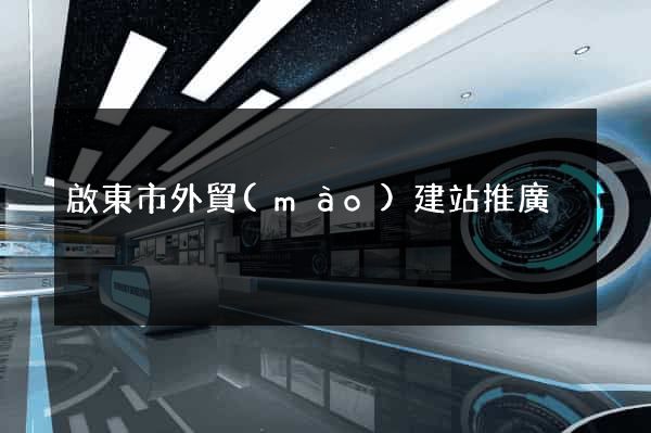 啟東市外貿(mào)建站推廣
