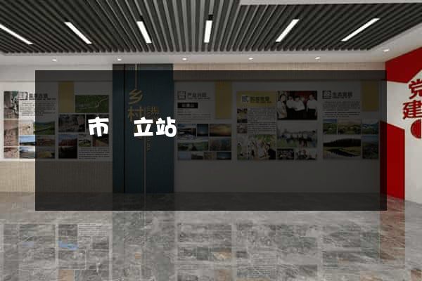 啟東市獨立站運營