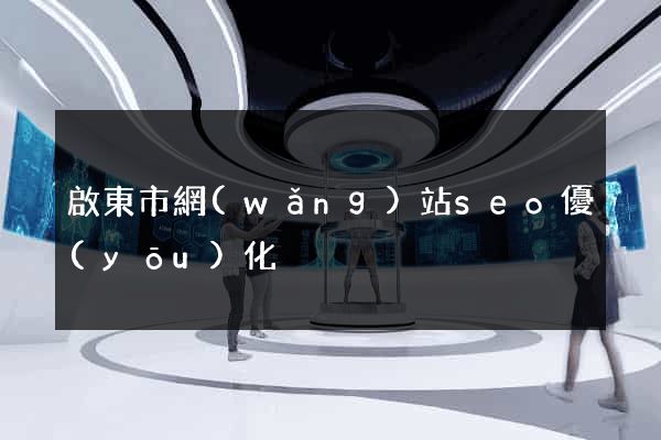 啟東市網(wǎng)站seo優(yōu)化