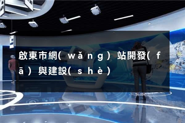 啟東市網(wǎng)站開發(fā)與建設(shè)
