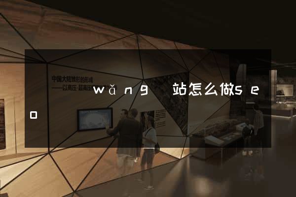 單頁網(wǎng)站怎么做seo