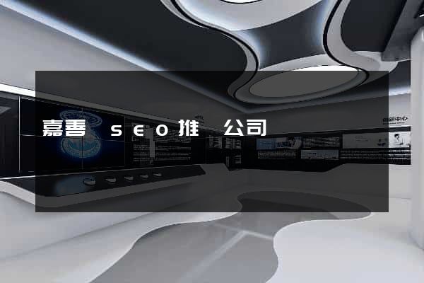 嘉善縣seo推廣公司