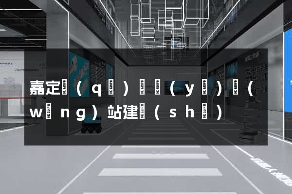 嘉定區(qū)專業(yè)網(wǎng)站建設(shè)
