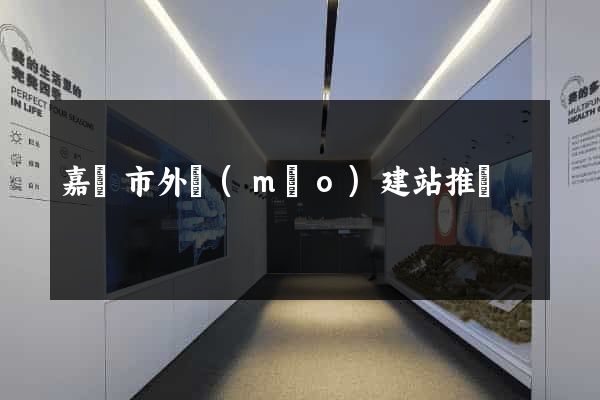 嘉興市外貿(mào)建站推廣