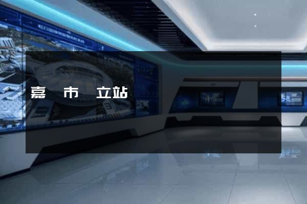 嘉興市獨立站運營