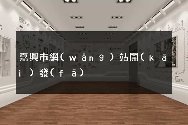 嘉興市網(wǎng)站開(kāi)發(fā)