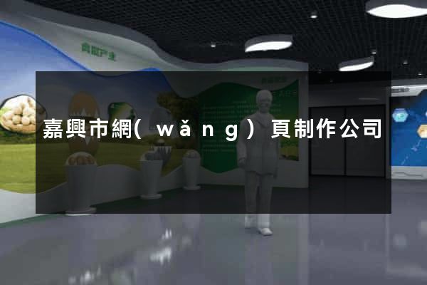 嘉興市網(wǎng)頁制作公司