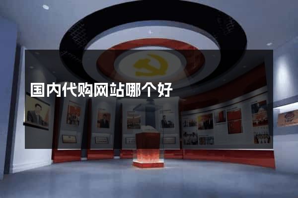 国内代购网站哪个好