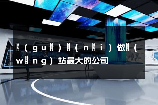 國(guó)內(nèi)做網(wǎng)站最大的公司