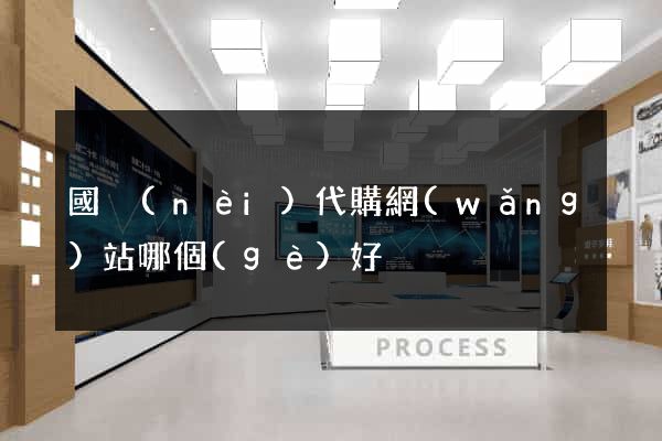 國內(nèi)代購網(wǎng)站哪個(gè)好