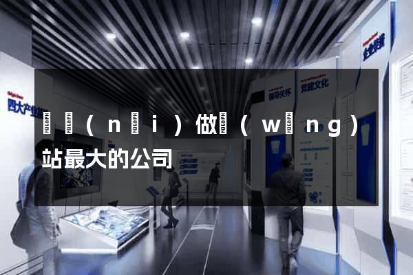 國內(nèi)做網(wǎng)站最大的公司