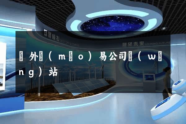 國外貿(mào)易公司網(wǎng)站