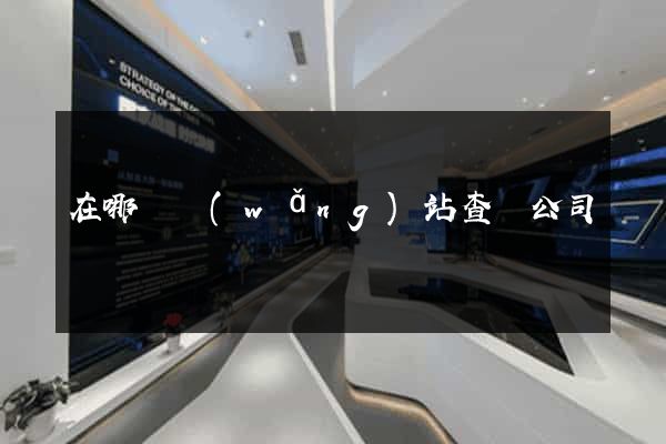 在哪個網(wǎng)站查詢公司