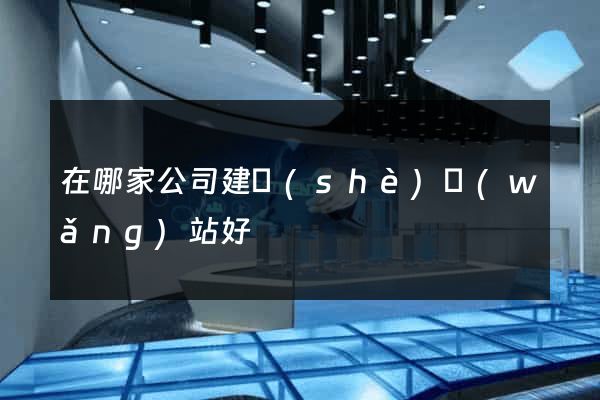 在哪家公司建設(shè)網(wǎng)站好