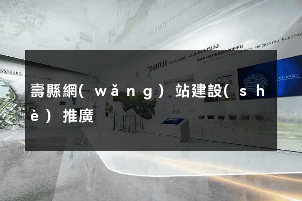壽縣網(wǎng)站建設(shè)推廣