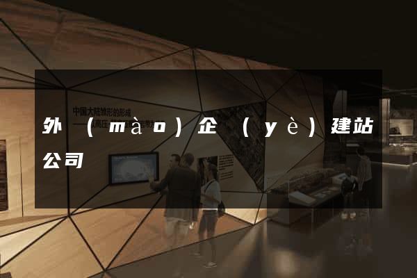 外貿(mào)企業(yè)建站公司