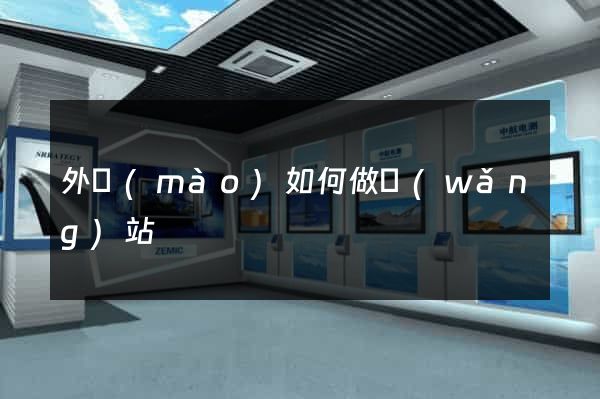 外貿(mào)如何做網(wǎng)站