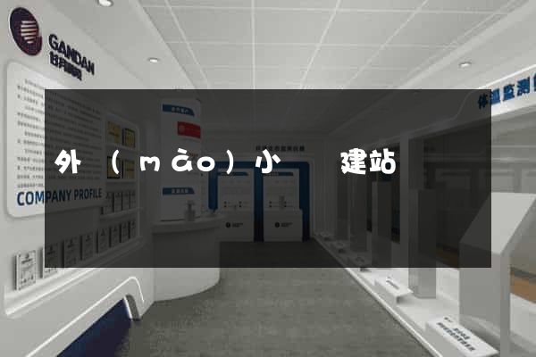 外貿(mào)小語種建站