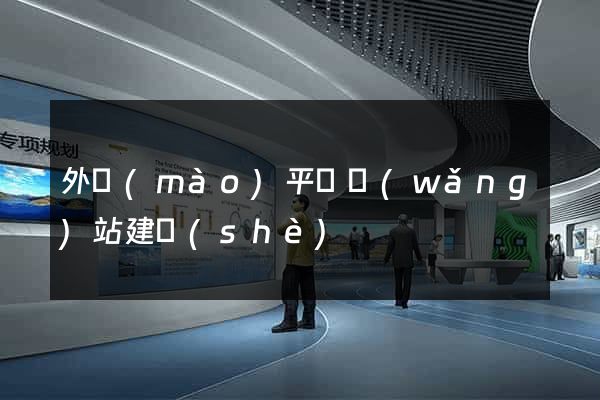 外貿(mào)平臺網(wǎng)站建設(shè)